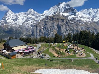 IMG_9500.jpeg
