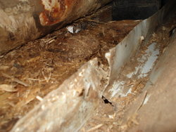 DSC02589.JPG