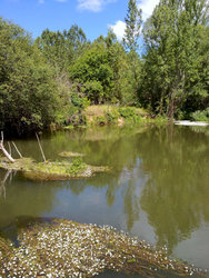20062010005-1.jpg