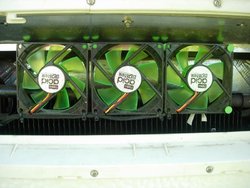 DSCN0517.jpg