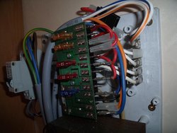 DSCF1004-2.JPG