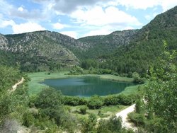 DSCF2172.jpg