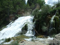 DSCF2177.jpg