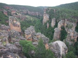 DSCF2205.jpg