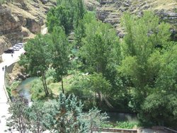 DSCF2241.jpg