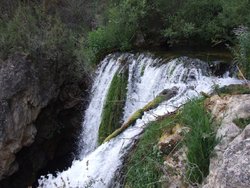 DSCF2293.jpg