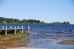 resized_DSC_0311.jpg