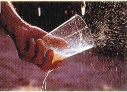 sidra2.jpg