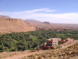 DSC00255.jpg