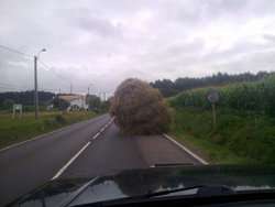 fotos movil asturias  i varios 130.jpg