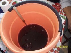 100_2182.jpg