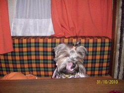 100_2221.jpg