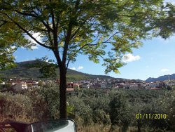 100_2251.jpg