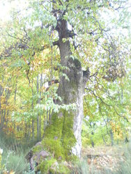 DSCN2612.jpg
