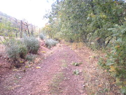 DSCN2619.jpg