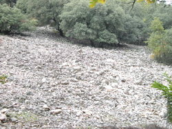 DSCN2620.jpg