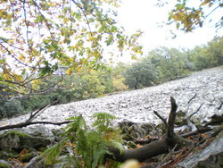 DSCN2631.jpg