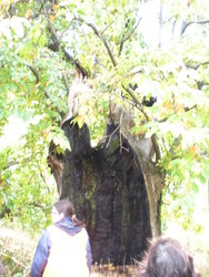 DSCN2633.jpg