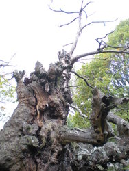 DSCN2629.jpg