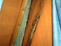 interior_1289048220_865807.jpg