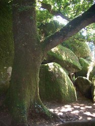 Bosque Huelgoat 11.jpg