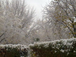 03122010136.jpg