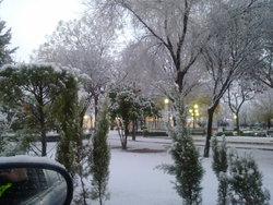 03122010137.jpg