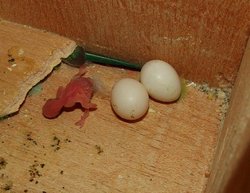 11-2010 (70).jpg