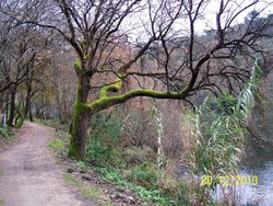 100_3697.jpg