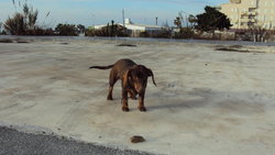 _SC00689.jpg
