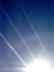 Cielo SE516R.jpg