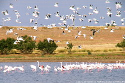 laguna-del-camino-de-villafranca-natura-indomita.jpg