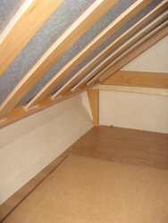 IMG_1193 (2).jpg