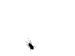 4l417ogkd2[1].gif
