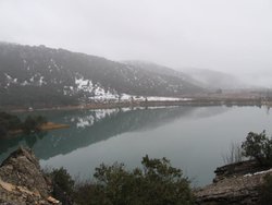 IMG_6077.jpg