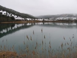 IMG_6101.jpg