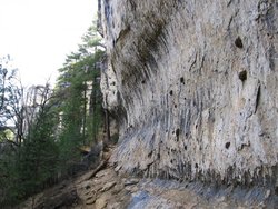 IMG_6165.jpg