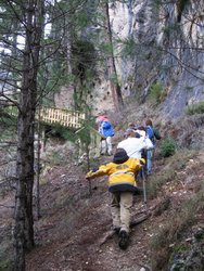 IMG_6166.jpg