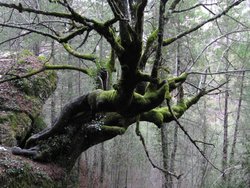IMG_6172.jpg