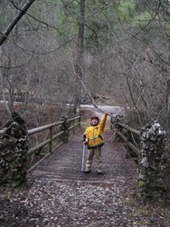 IMG_6176.jpg