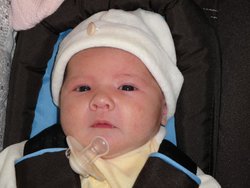 DSC00387.jpg