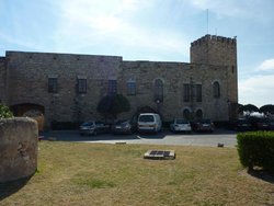 P1010285.jpg