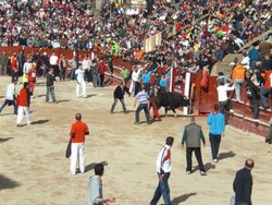 CIMG2006.jpg