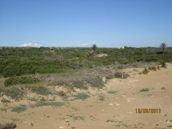 IMG_1349_redimensionar.JPG
