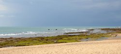 DSC_0081.jpg