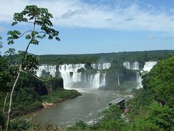 argentina 892.jpg