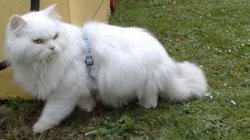 foto (34).jpg