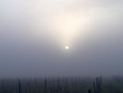04042011254.jpg