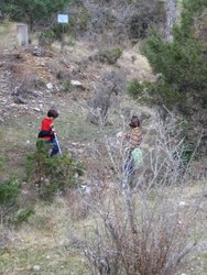IMG_6468.jpg
