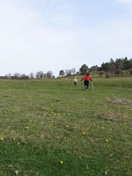 IMG_6470.jpg